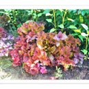 밀물민박 이미지