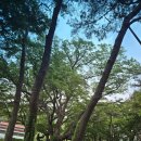 좌라리경로당 이미지