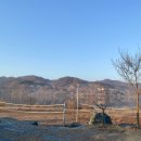 탄금호 야영장 이미지