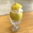 망원동 레몬 오마카세 리틀스탠드레몽 봄 메뉴 후기