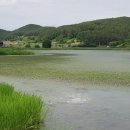 창녕 팔락정 이미지