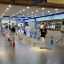 블루드래곤 태권도 이미지