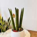 상남동214 이미지