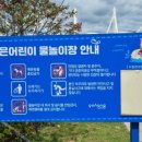 오천읍민운동장 네이버블로그