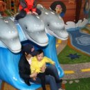 IQ오락장 이미지