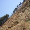 원영농장 이미지