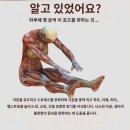 간단하게 할수 있는 운동_실천!! 이미지