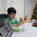 꼬마 아인슈타인 과학실험 | 꼬마과학뒤집기 예비초등 활용법 글밥수준 난이도 실험