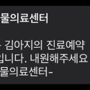 양주24시해든동물의료센터 이미지