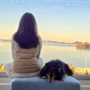 석양이 예쁜집 이미지