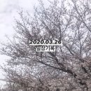벚꽃길민박 이미지