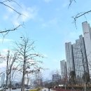 도로시키즈카페 이미지