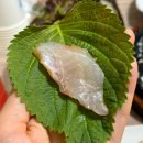 [부산/온천장] 오륙도횟집, 자연산 모듬회가 맛있는 온천장 횟집