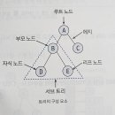 트리트리 이미지