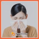 현대이비인후과 네이버블로그