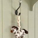 하하호호 이미지