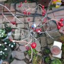 동화조경농원 이미지