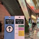 냥냥살롱 | 코엑스 2025 서일페 서울 일러스트레이션 페어 V.20 다녀온 후기