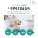 신제주동물병원 이미지