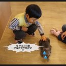 커피캣 이미지