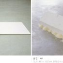 볼프강 이미지