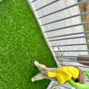 부산강아지분양 디몽 광안리본점 이미지