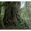 삼보교역상사 이미지