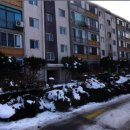 금호라인공인중개사사무소 이미지