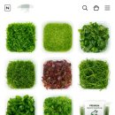 나는뽑기왕 이미지