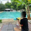 치앙마이/빠이 치고 빠지기 3일차 🇹🇭