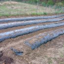 다은농장 이미지