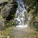 기산경로당 | 영알둘레길15코스,용소~감물다랑논길~깨밭고개~자암서당~달똥고개~보풀말랭이~동화교(20.7.26.일.후반)