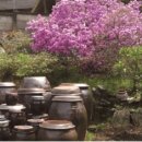 상두리마을 이미지