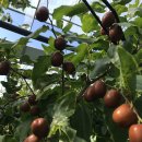 성하농장 이미지