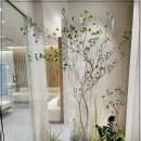 닥터훈정형외과의원 이미지