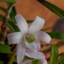 홍우농장 이미지