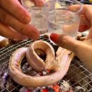 꼼짱 이미지