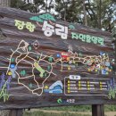 송림나무시장