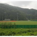 부강생활체육공원 이미지