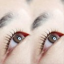 회원동124 이미지