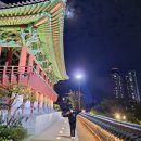 뽀빠이하우스 | 울산 숙소 태화강국가정원 게스트하우스 달빛은하수 후기