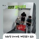 루키드 | 최화정다이어트 아파트 계단오르기 효과, 내장지방 줄이고 수명 늘리는 운동