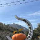 대구 근교 드라이브/라이딩 명소 :: 가창 헐티재