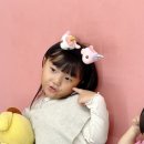 포토시그니처경산