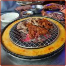 신마포갈매기 이미지