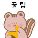 라라브레드고양