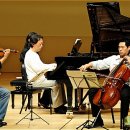 마에스트로 이미지