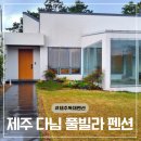 다님펜션 | 제주 다님 풀빌라 펜션에서 힐링하고 온 후기