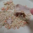 땡칠이네 | 땡칠이의 장 건강 필수템: 리와일드 프로바이오틱스 내돈내산