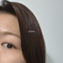 스탑헤어 | [다이소 헤어 추천] 헤어 고민 해결해 줄 다이소 쿤달 리치 퍼퓸 신상 6종 솔직 후기